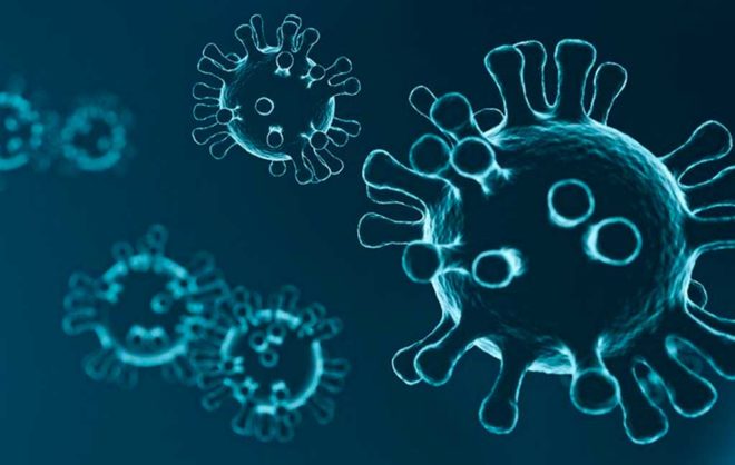 Virusaufnahme Quelle pixabay