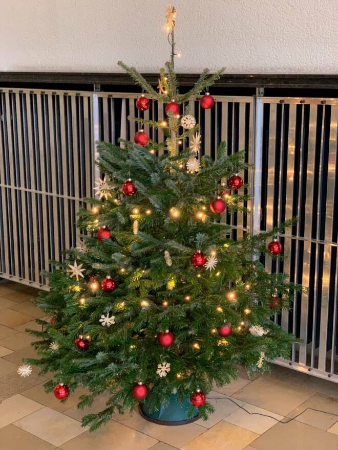 Weihnachtsbaum der ABS 2022